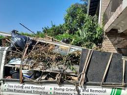 Best Dumpster Rental Services  in Silver Hill, MD